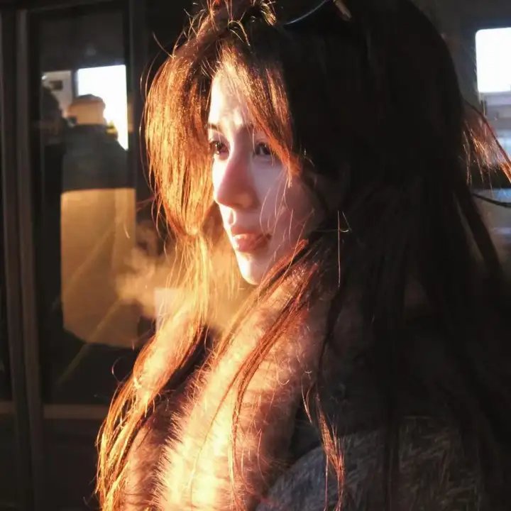 鹬